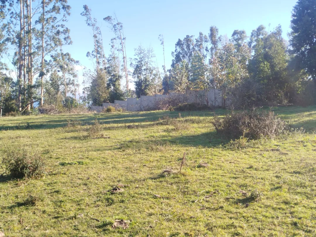 VENTA PARCELA CON CABAÑA, SECTOR SAN IGNACIO ALTO