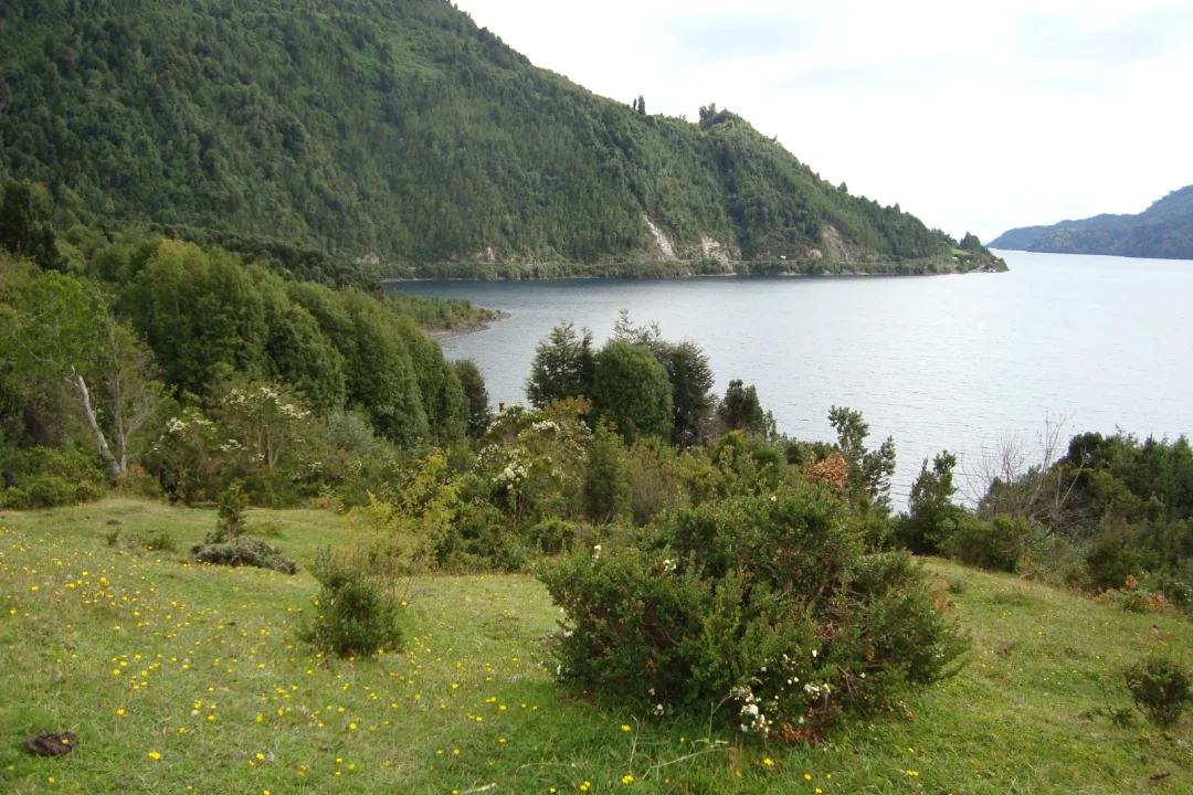 MUY BONITA PARCELA A ORILLAS DEL LAGO RUPANCO