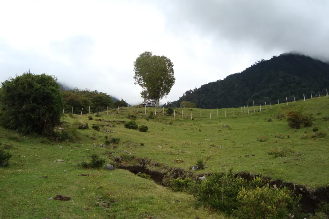 MUY BONITA PARCELA A ORILLAS DEL LAGO RUPANCO