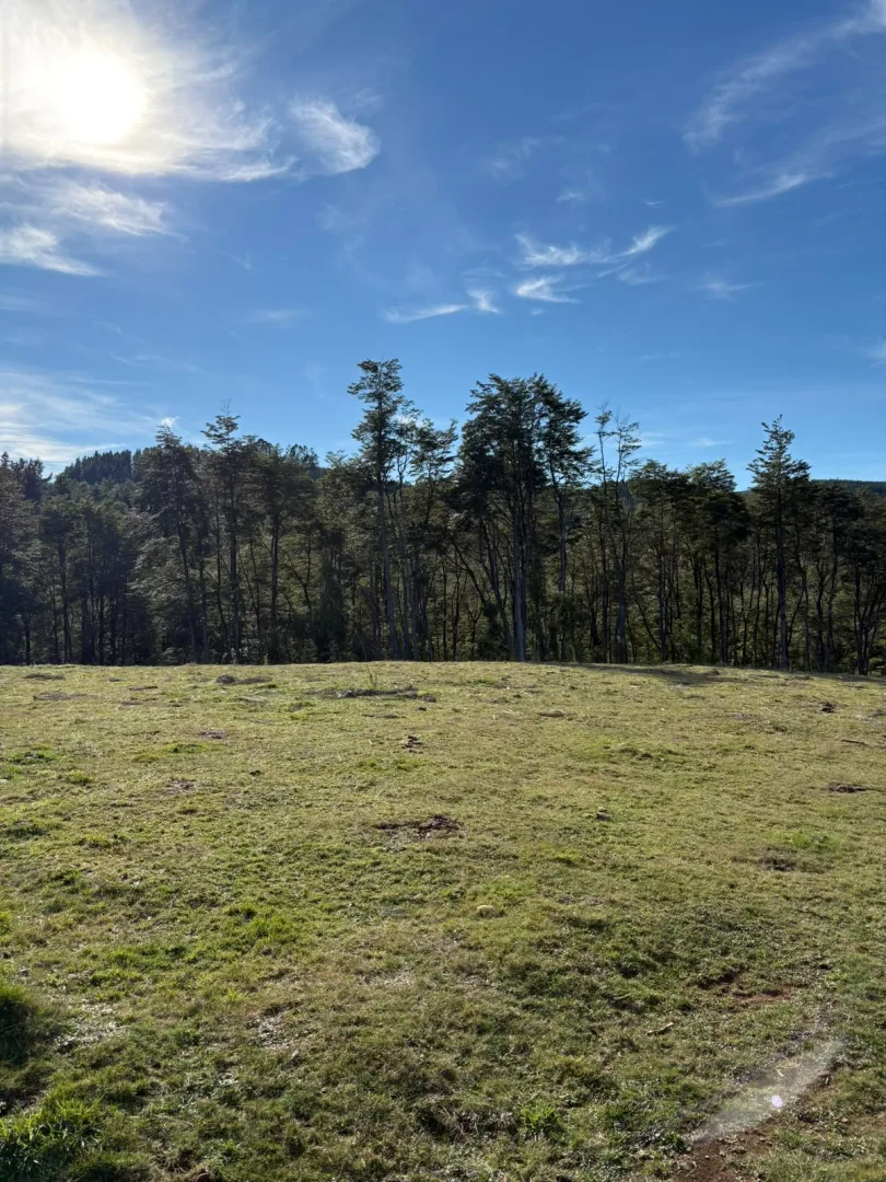 MUY BONITA PARCELA EN SECTOR CASA BLANCA, SALIDA SUR DE VALDIVIA