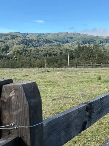 MUY BONITA PARCELA EN SECTOR CASA BLANCA, SALIDA SUR DE VALDIVIA