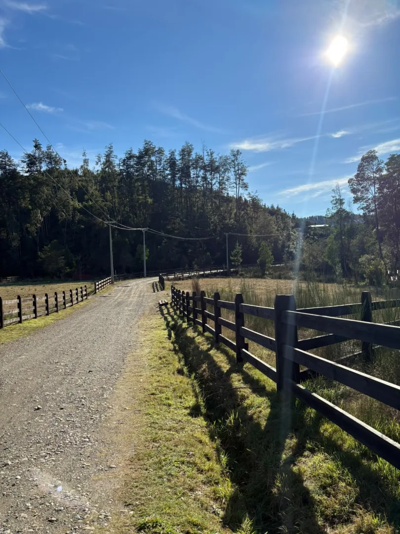 MUY BONITA PARCELA EN SECTOR CASA BLANCA, SALIDA SUR DE VALDIVIA