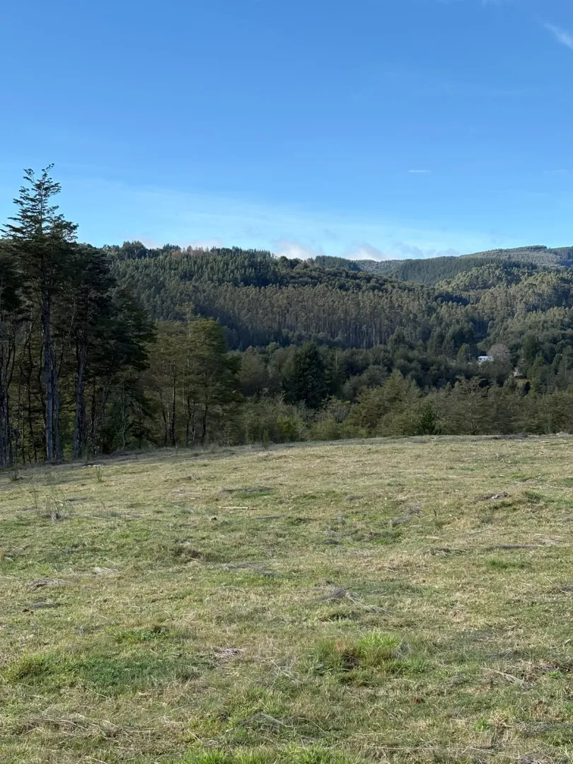 MUY BONITA PARCELA EN SECTOR CASA BLANCA, SALIDA SUR DE VALDIVIA